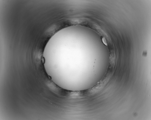 X0000102380574200808151900