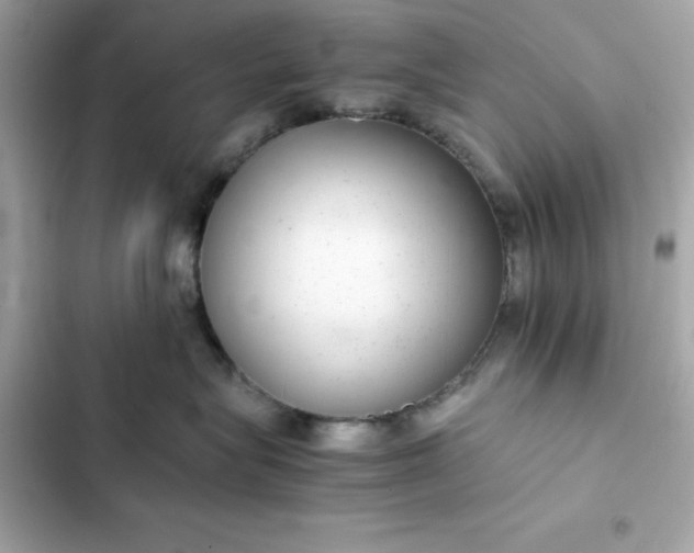 X0000102380575200808151900