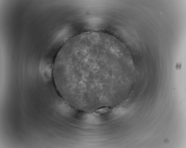 X0000102380576200808151900