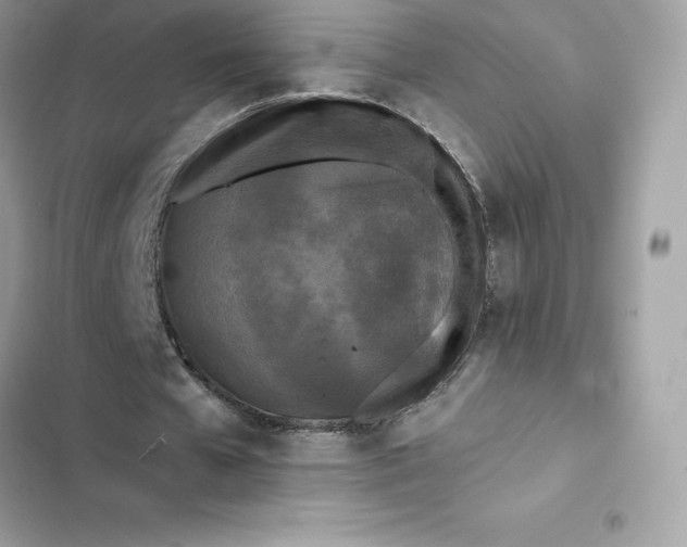 X0000102380577200808151859