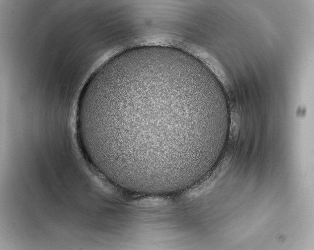 X0000102380578200808151859