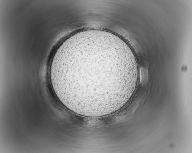 X0000102380579200808151859