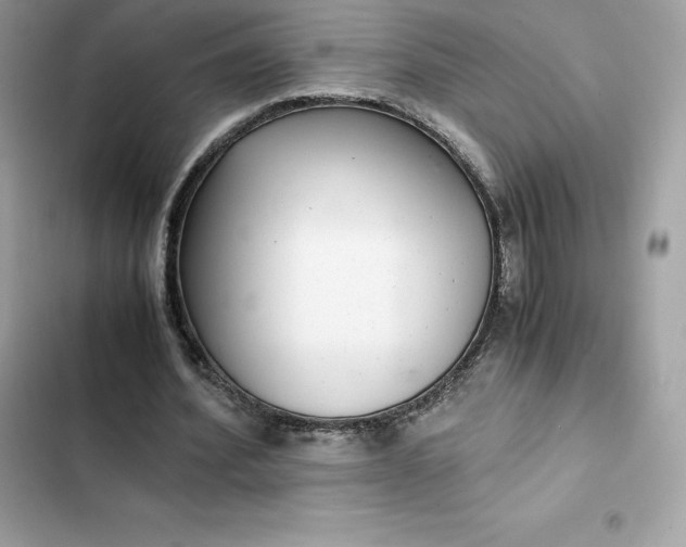 X0000102380580200808151859