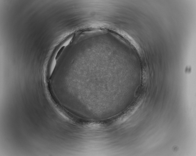 X0000102380581200808151859