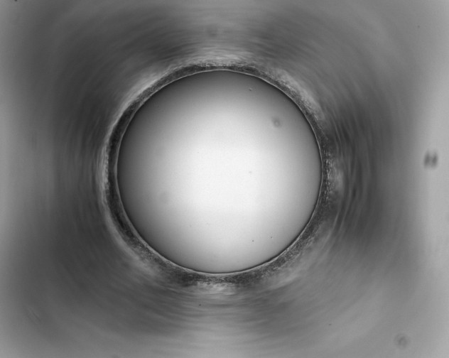 X0000102380582200808151859