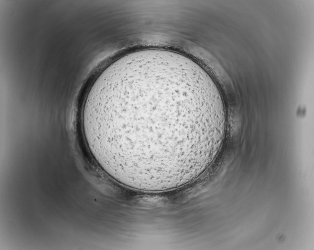 X0000102380583200808151859