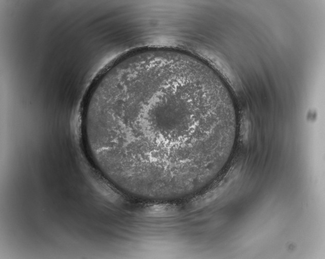 X0000102380584200808151859