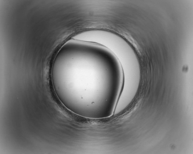 X0000102380585200808151859