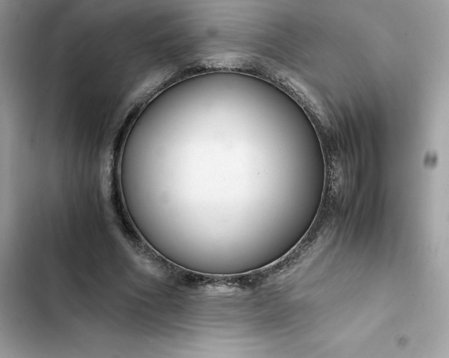 X0000102380586200808151859