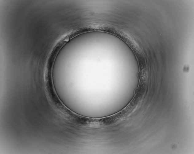 X0000102380587200808151859