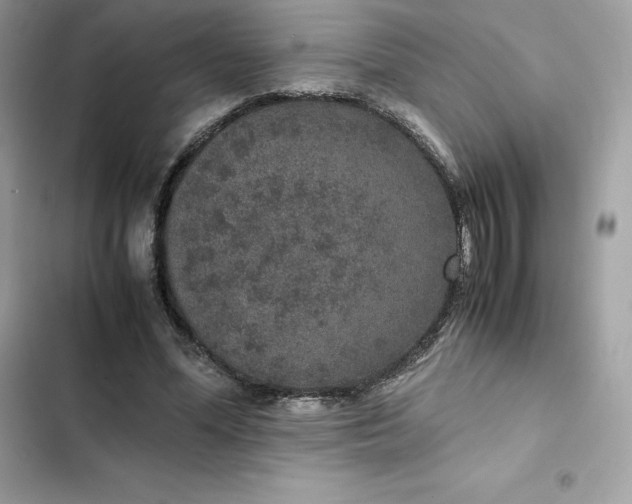 X0000102380588200808151859