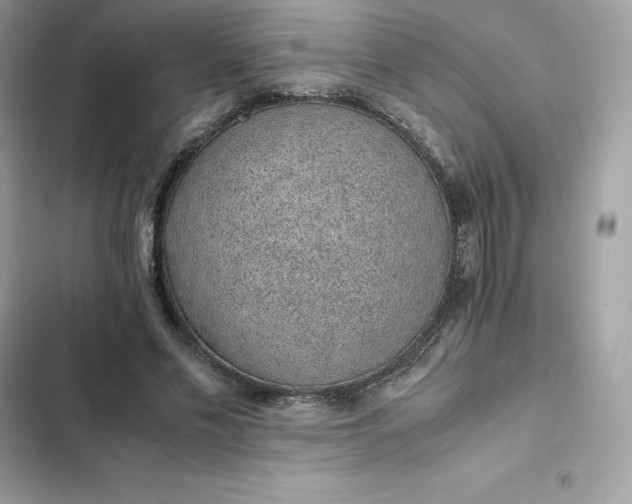 X0000102380589200808151859