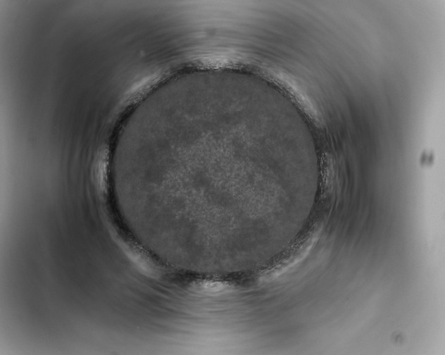 X0000102380590200808151859