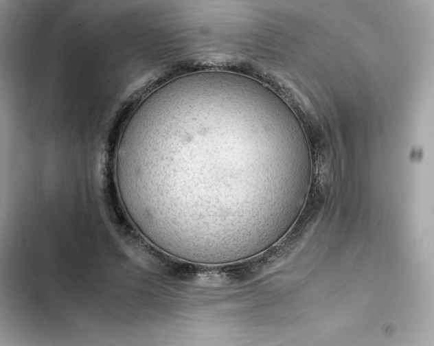 X0000102380591200808151859