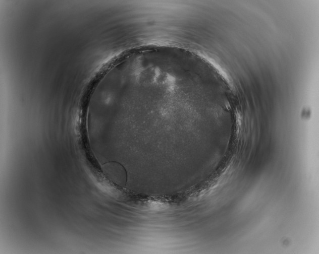 X0000102380592200808151859