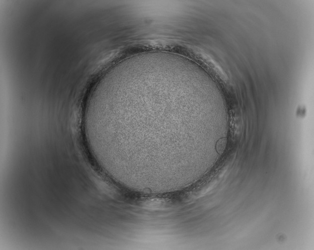 X0000102380593200808151859