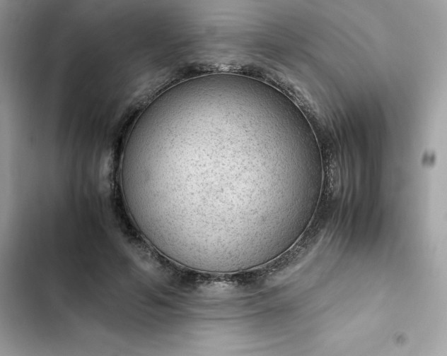 X0000102380594200808151859