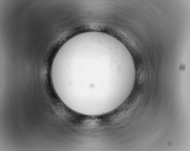 X0000102380595200808151859