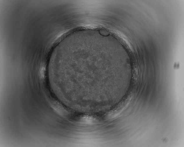 X0000102380596200808151859