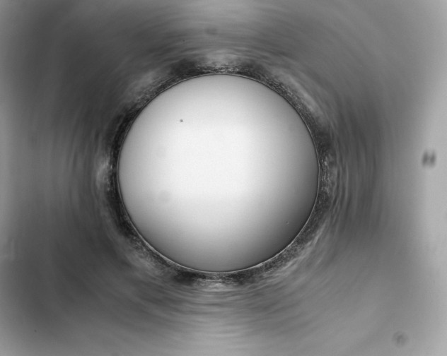 X0000102380597200808151859