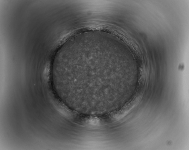 X0000102380600200808151859