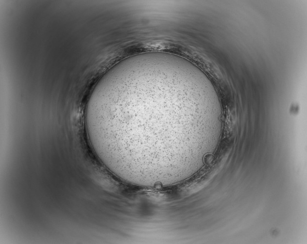 X0000102380601200808151859