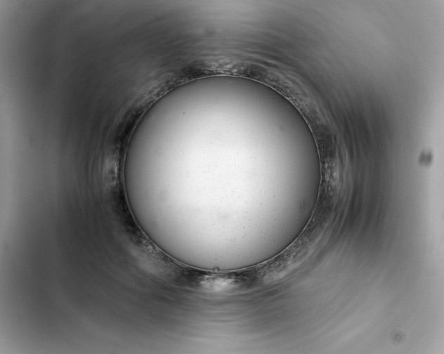 X0000102380602200808151859