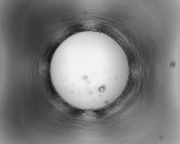 X0000102380603200808151859