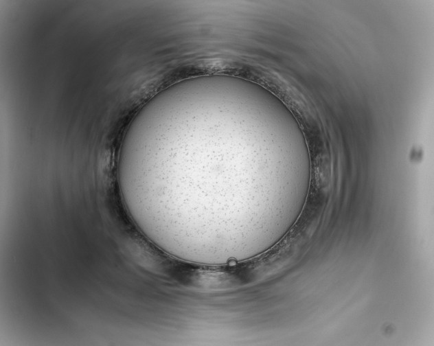 X0000102380605200808151859