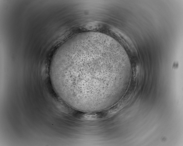 X0000102380606200808151859