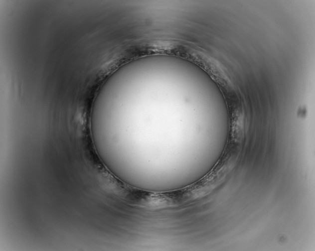 X0000102380608200808151859