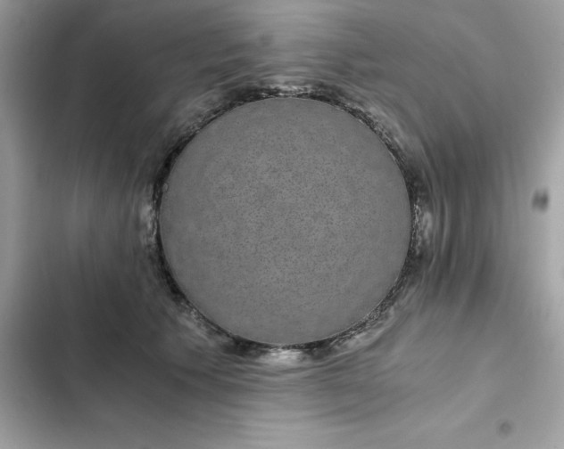 X0000102380609200808151859