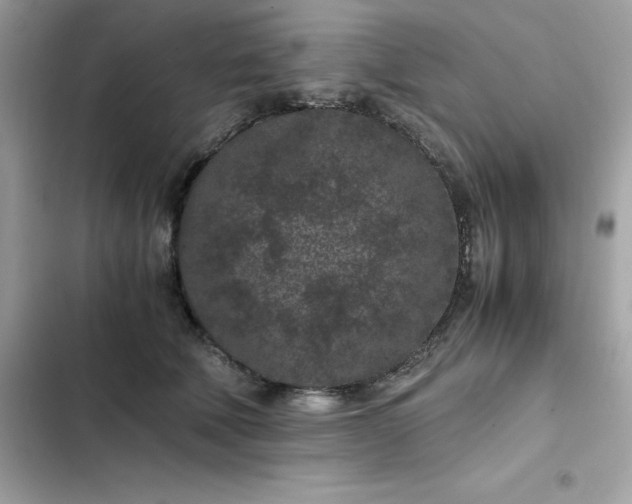 X0000102380610200808151859