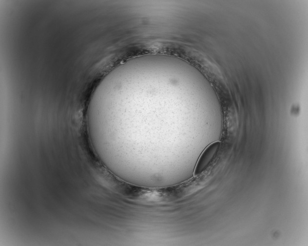 X0000102380611200808151859