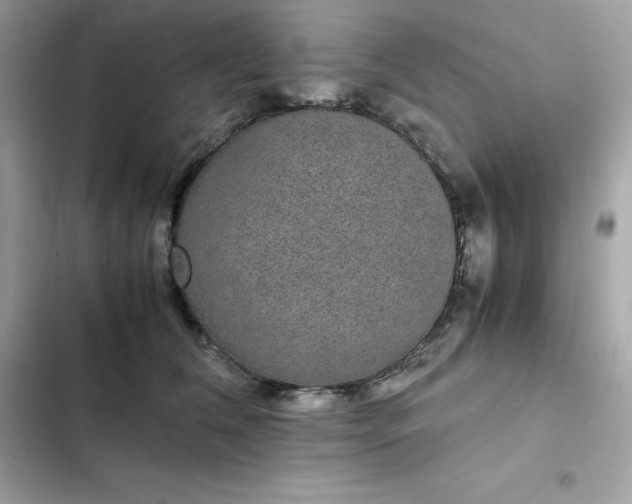 X0000102380612200808151859