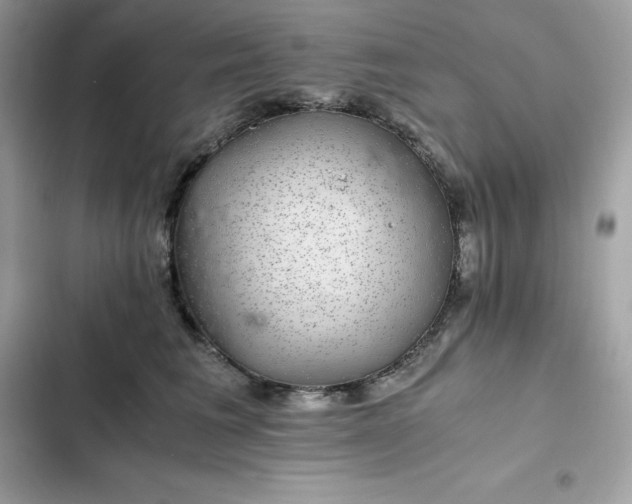 X0000102380613200808151859