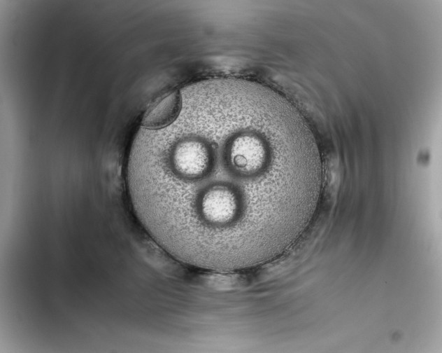 X0000102380615200808151859