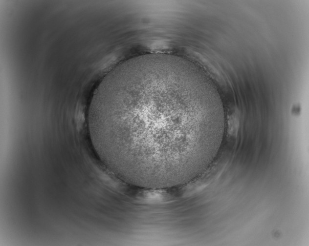 X0000102380618200808151859