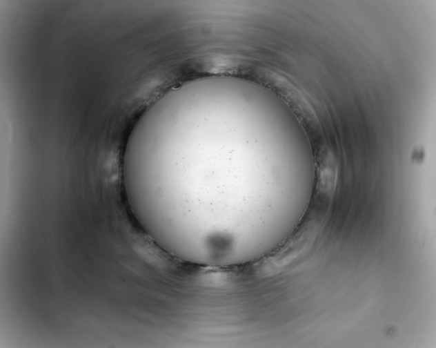 X0000102380620200808151859