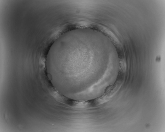 X0000102380621200808151859