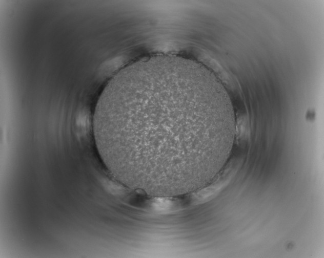 X0000102380623200808151859