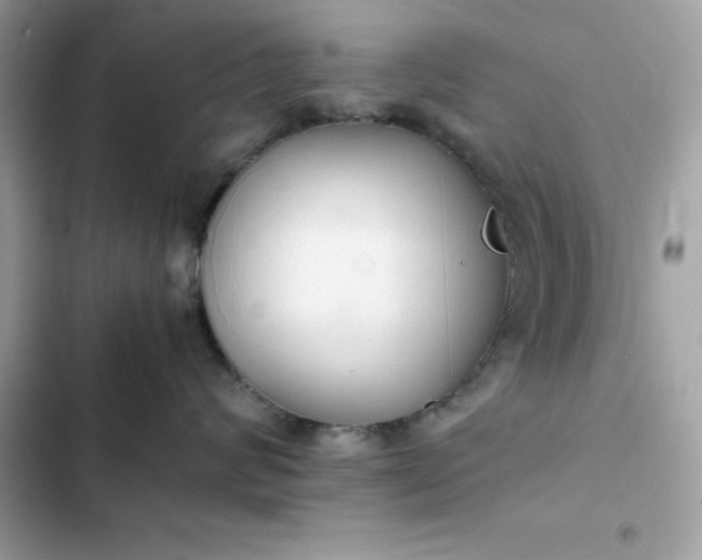 X0000102380624200808151859