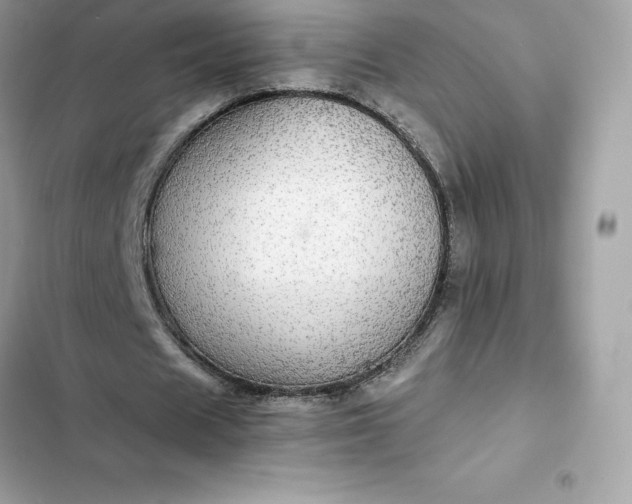 X0000102380625200808151858