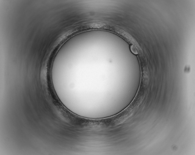 X0000102380626200808151858