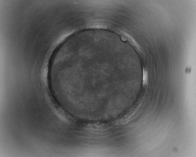 X0000102380627200808151858