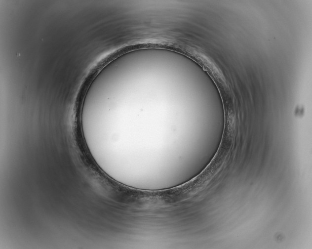 X0000102380628200808151858