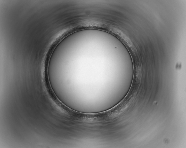 X0000102380629200808151858