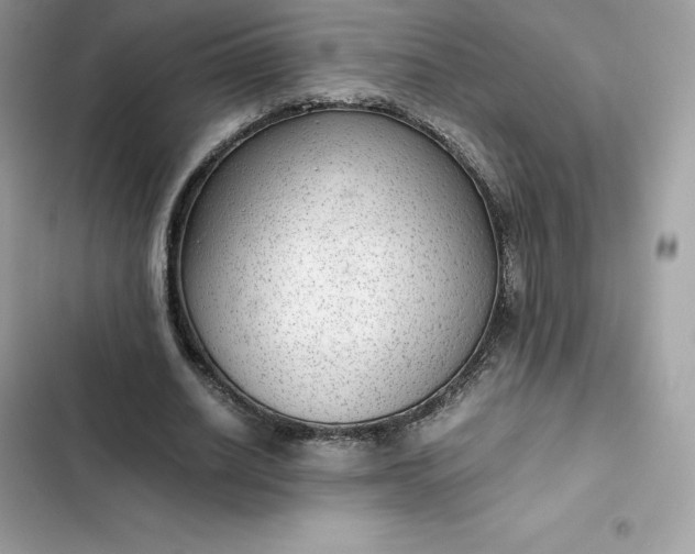 X0000102380630200808151858