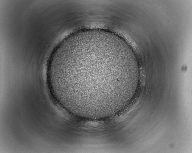 X0000102380631200808151858