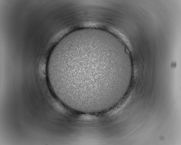 X0000102380633200808151858